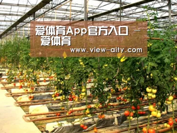 种植基地二(图1)