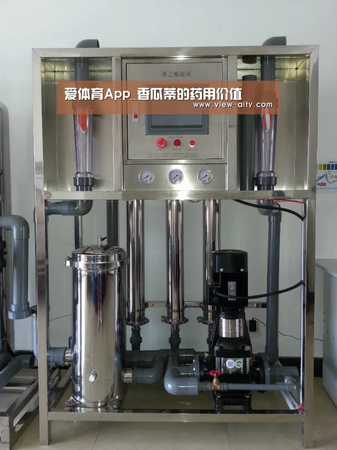 爱体育App_香瓜蒂的药用价值(图4) 爱体育App